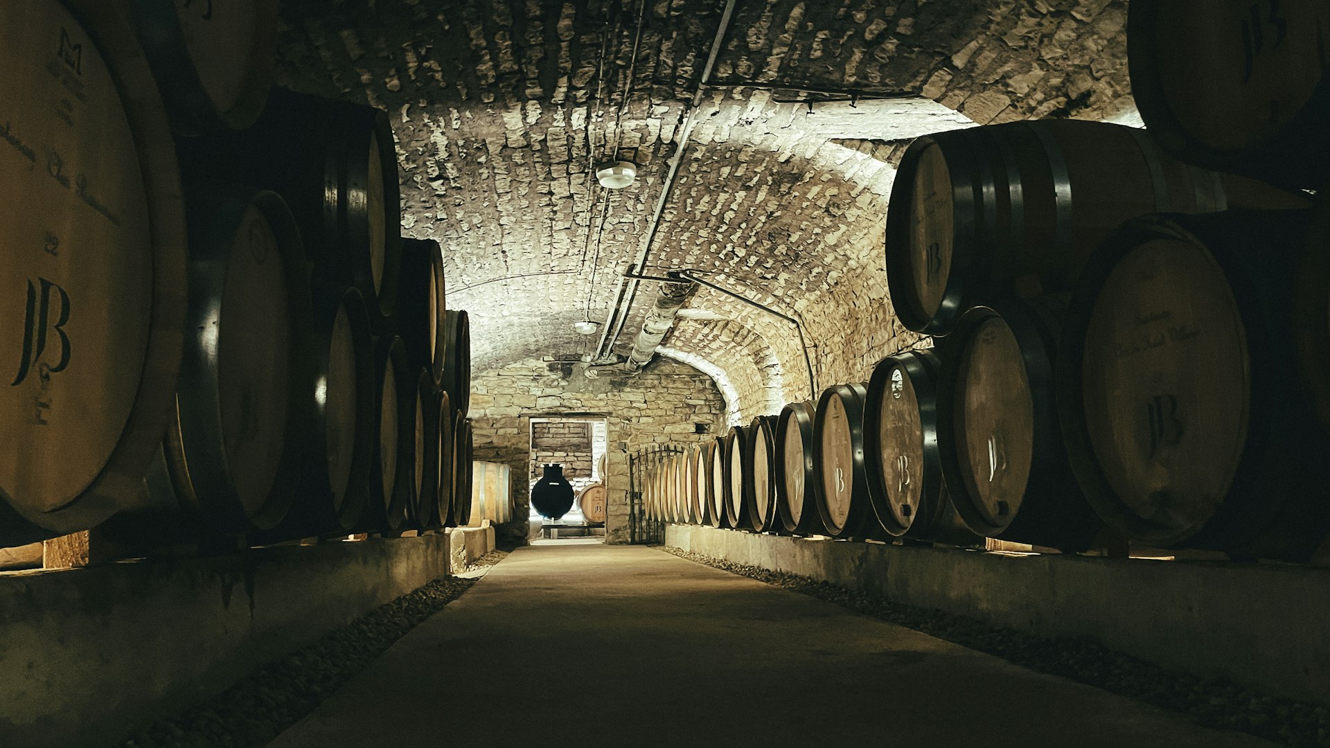 Wine cellar tunnel lined with oak barrels